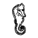 Poinçon hippocampe (or 999‰)