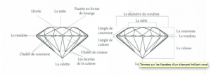 Schéma anatomique diamant brillant facettes couronne culasse