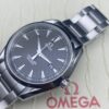 Omega Seamaster Aqua Terra 231.10.39.61.06.001